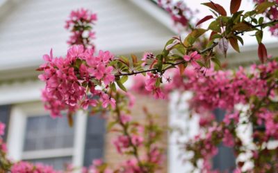 Idées de décoration de printemps 2024